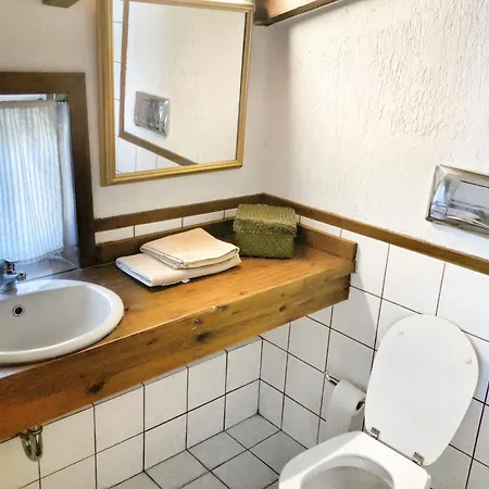Vivo Apartament *